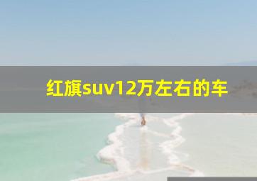 红旗suv12万左右的车