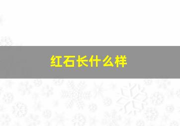 红石长什么样