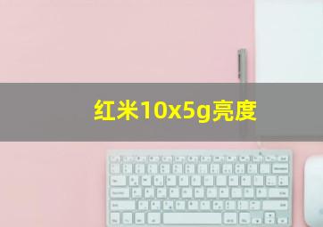 红米10x5g亮度