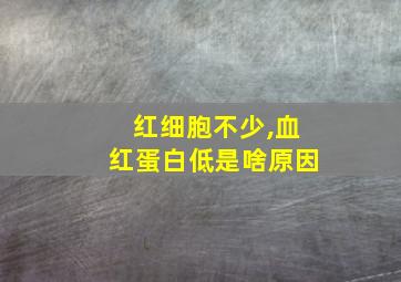 红细胞不少,血红蛋白低是啥原因