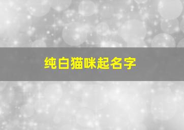 纯白猫咪起名字