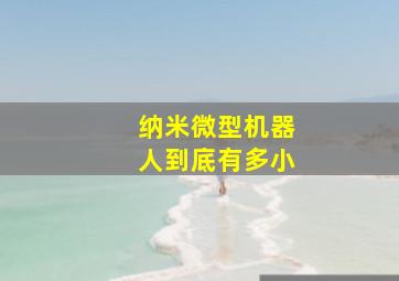 纳米微型机器人到底有多小