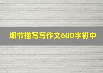 细节描写写作文600字初中