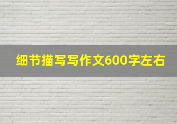 细节描写写作文600字左右