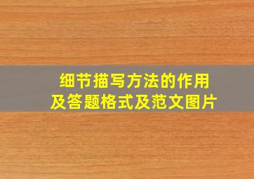 细节描写方法的作用及答题格式及范文图片