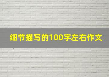 细节描写的100字左右作文