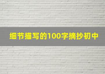 细节描写的100字摘抄初中