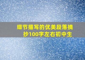 细节描写的优美段落摘抄100字左右初中生