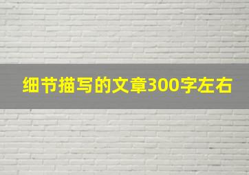 细节描写的文章300字左右