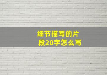 细节描写的片段20字怎么写