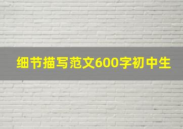 细节描写范文600字初中生