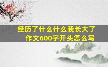 经历了什么什么我长大了作文600字开头怎么写