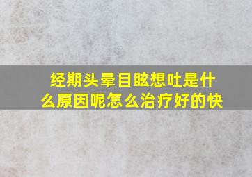 经期头晕目眩想吐是什么原因呢怎么治疗好的快