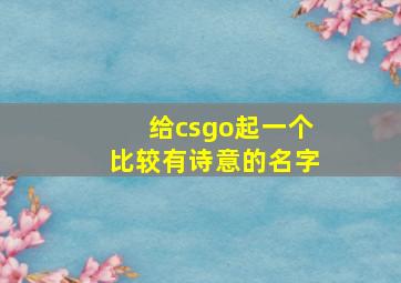 给csgo起一个比较有诗意的名字