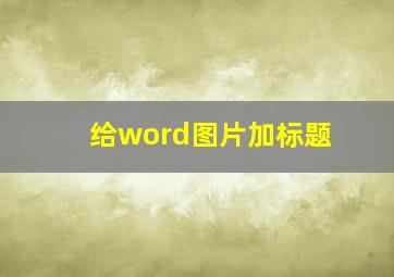 给word图片加标题