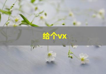 给个vx