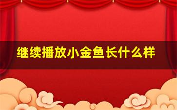 继续播放小金鱼长什么样