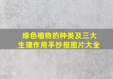 绿色植物的种类及三大生理作用手抄报图片大全