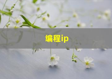 编程ip