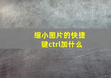 缩小图片的快捷键ctrl加什么