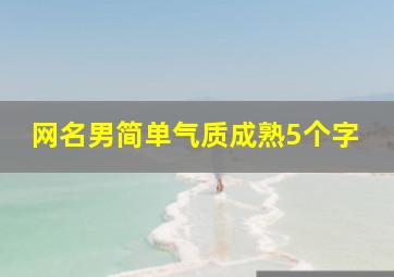 网名男简单气质成熟5个字