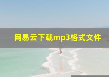 网易云下载mp3格式文件