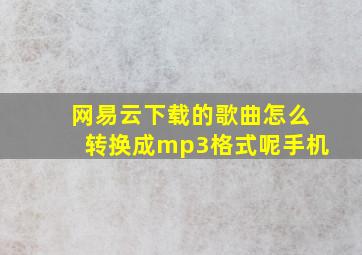 网易云下载的歌曲怎么转换成mp3格式呢手机