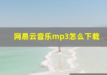 网易云音乐mp3怎么下载