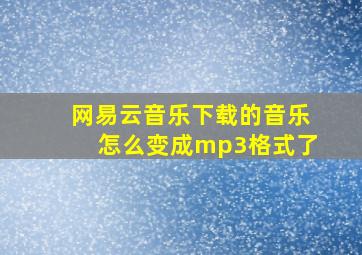 网易云音乐下载的音乐怎么变成mp3格式了