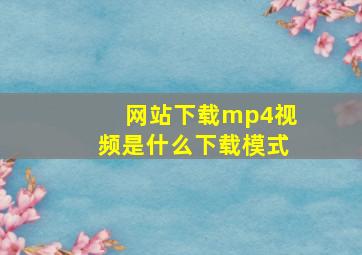 网站下载mp4视频是什么下载模式