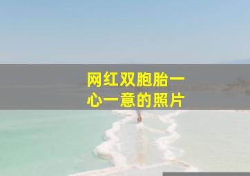 网红双胞胎一心一意的照片