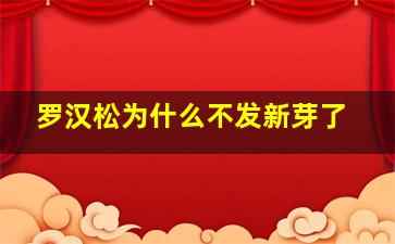 罗汉松为什么不发新芽了