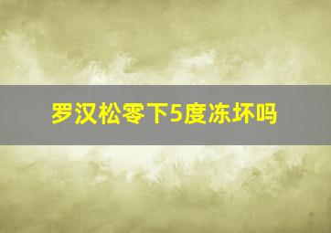 罗汉松零下5度冻坏吗