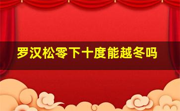 罗汉松零下十度能越冬吗