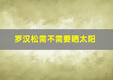 罗汉松需不需要晒太阳