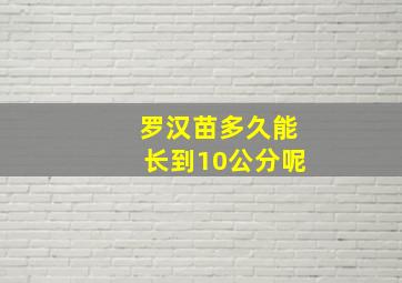 罗汉苗多久能长到10公分呢