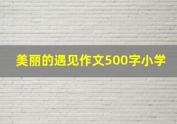 美丽的遇见作文500字小学