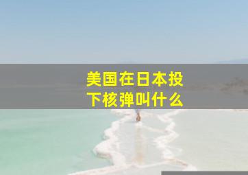 美国在日本投下核弹叫什么