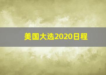 美国大选2020日程