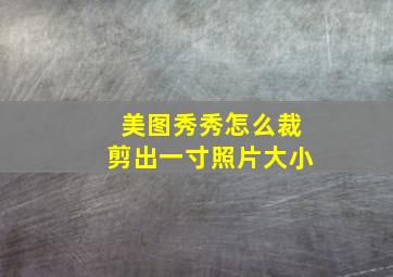 美图秀秀怎么裁剪出一寸照片大小