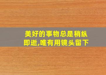 美好的事物总是稍纵即逝,唯有用镜头留下