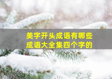 美字开头成语有哪些成语大全集四个字的