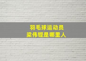 羽毛球运动员梁伟铿是哪里人