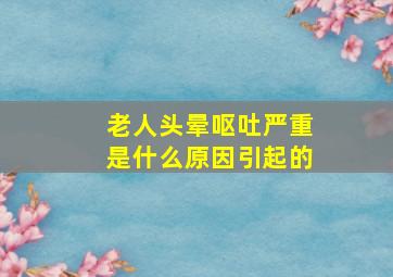 老人头晕呕吐严重是什么原因引起的