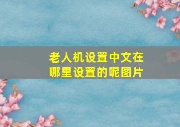 老人机设置中文在哪里设置的呢图片