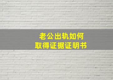 老公出轨如何取得证据证明书