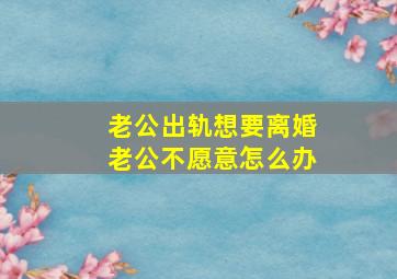 老公出轨想要离婚老公不愿意怎么办