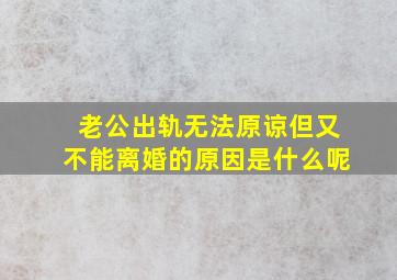 老公出轨无法原谅但又不能离婚的原因是什么呢