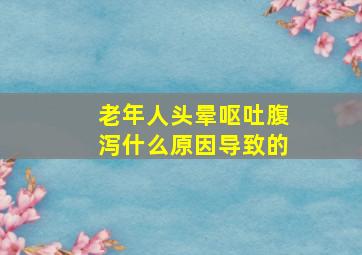 老年人头晕呕吐腹泻什么原因导致的