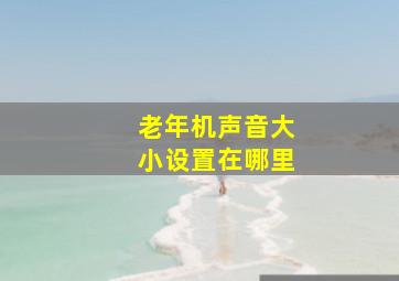 老年机声音大小设置在哪里